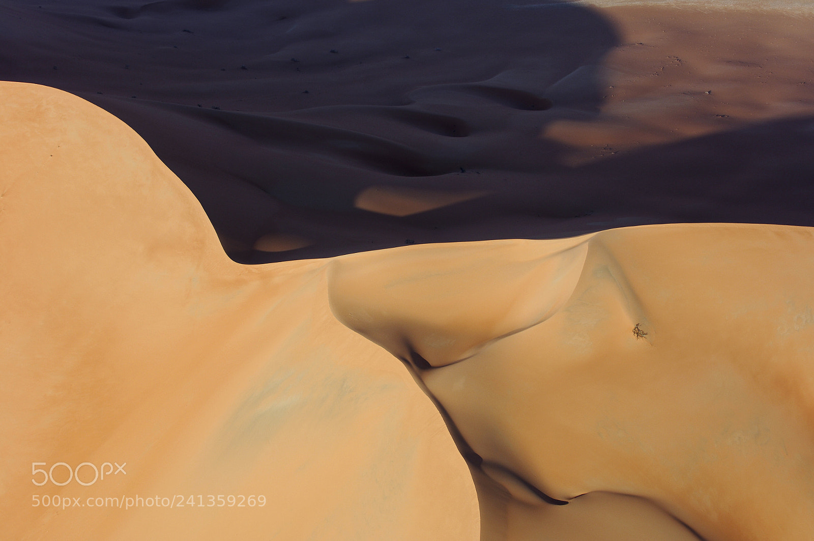 Nikon D2X sample photo. Aerial view of sand photography