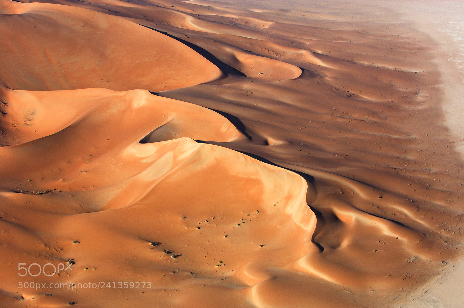 Nikon D2X sample photo. Aerial view of sand photography