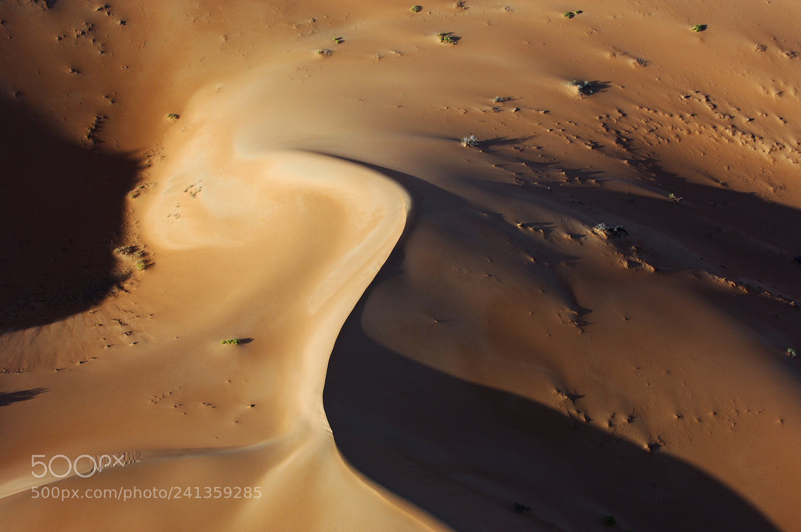 Nikon D2X sample photo. Aerial view of sand photography
