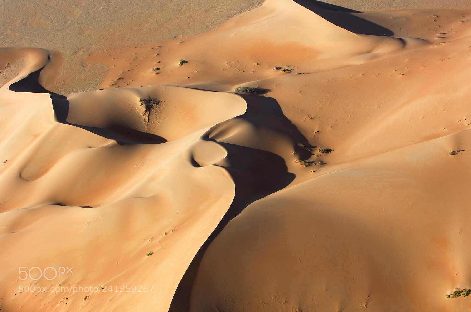 Nikon D2X sample photo. Aerial view of sand photography