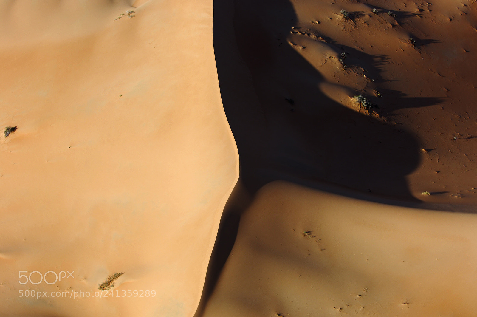 Nikon D2X sample photo. Aerial view of sand photography