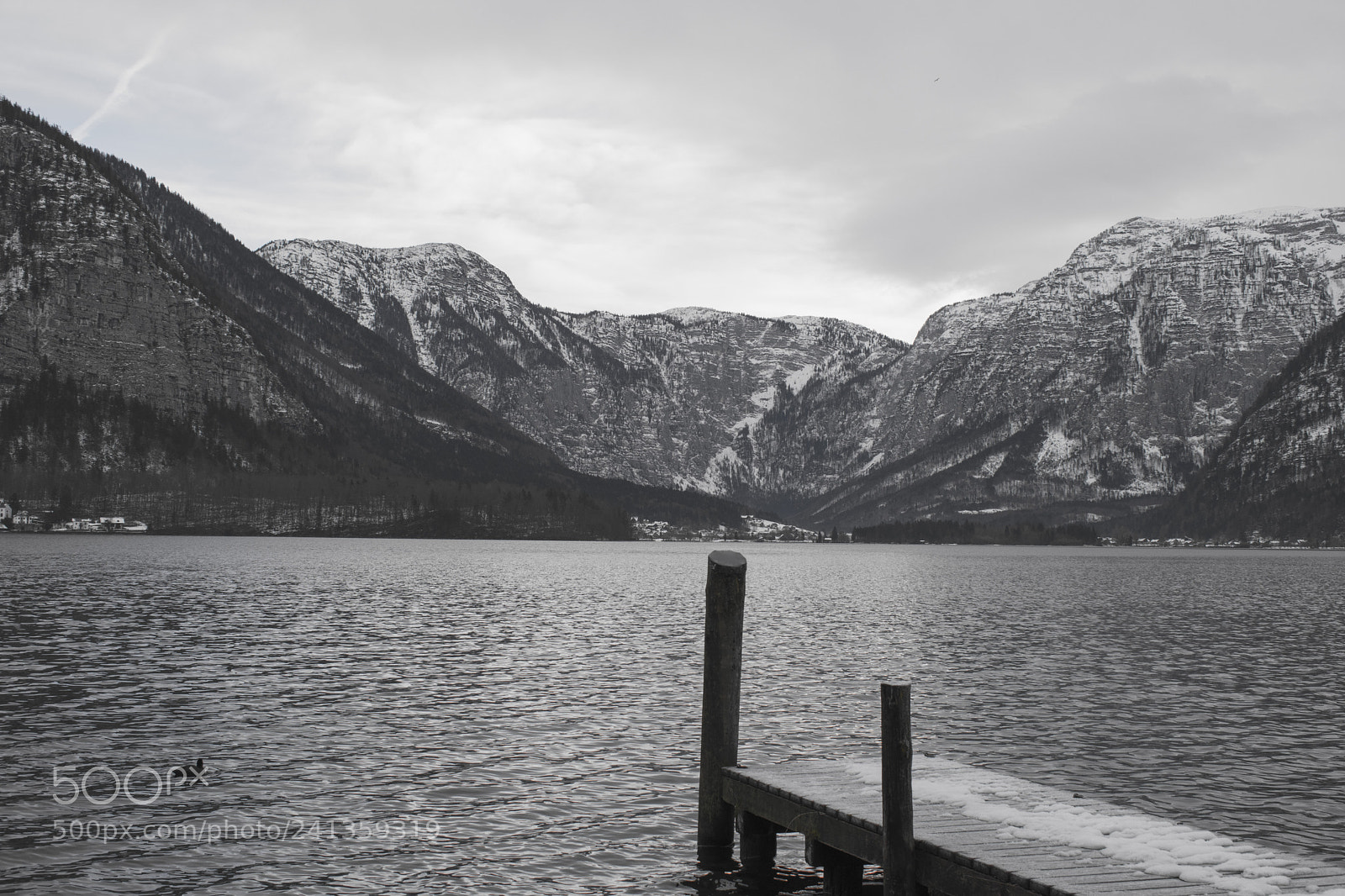 Nikon D5600 sample photo. Untitled photography