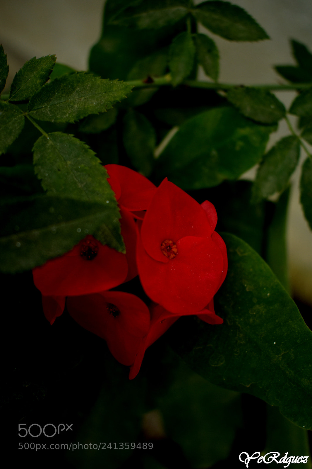 Nikon D3400 sample photo. Dsc photography