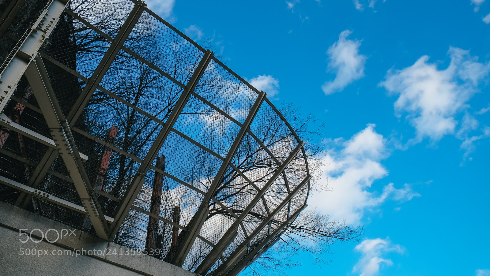 Fujifilm X-T10 sample photo. Dscf photography