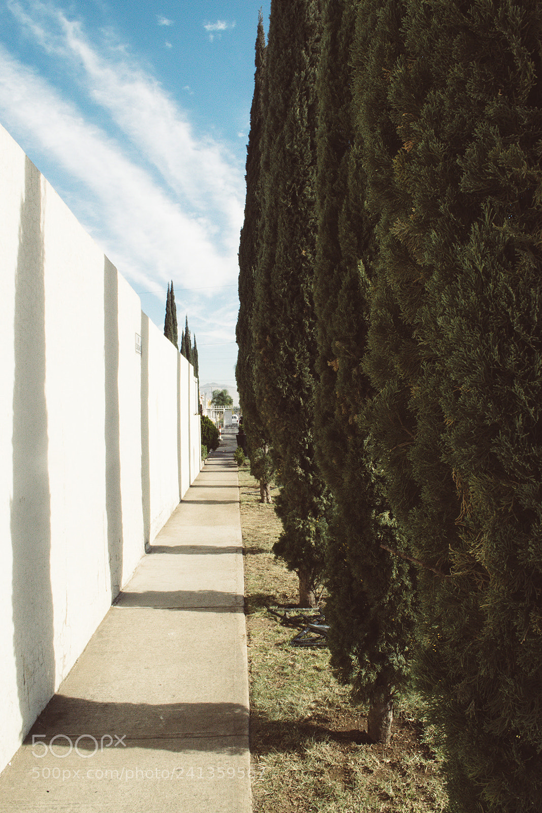 Nikon D3200 sample photo. Verticals photography