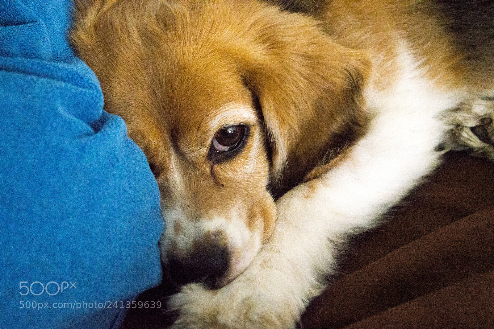 Nikon D3200 sample photo. Tamara one eye photography