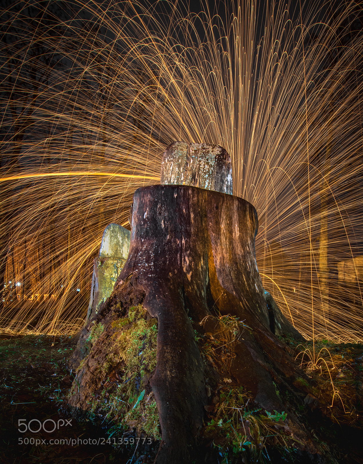 Nikon D7100 sample photo. Stump with fire curtain photography