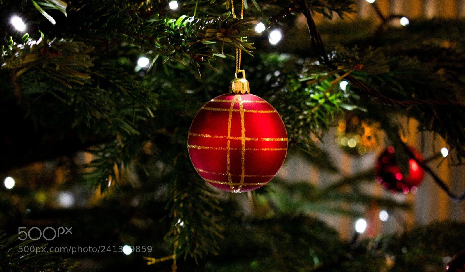 Nikon D3400 sample photo. Dsc photography