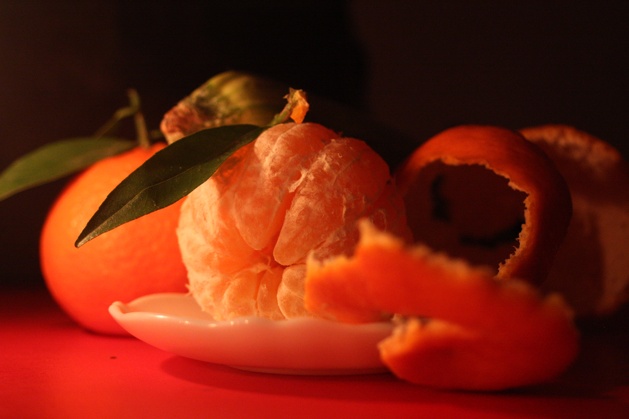 Canon EF 28-80mm f/3.5-5.6 sample photo. Img photography