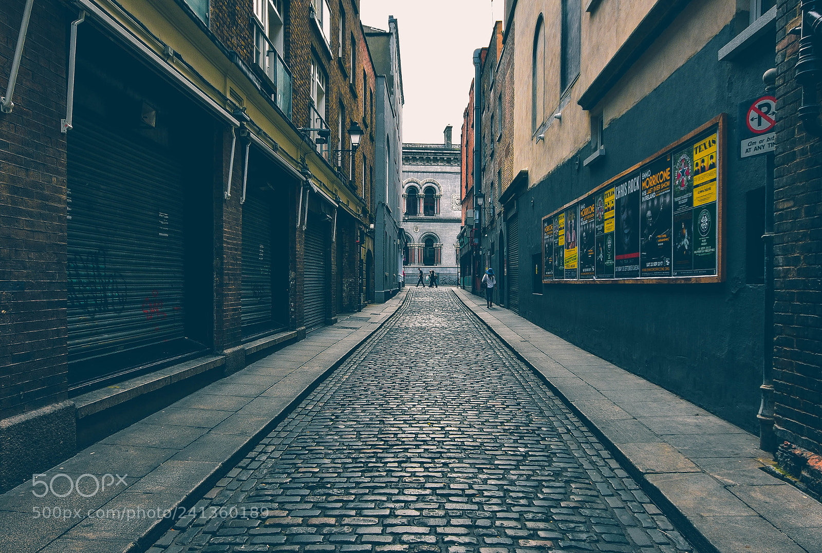 Nikon D7200 sample photo. Walk photography
