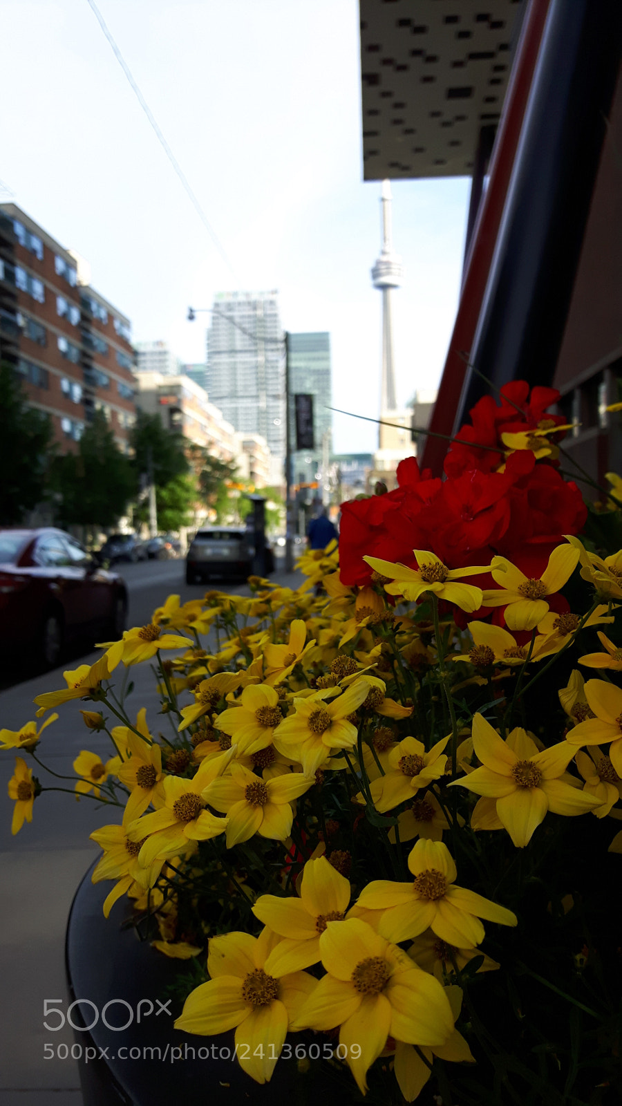 Samsung Galaxy S5 Neo sample photo. Flowers & towers photography