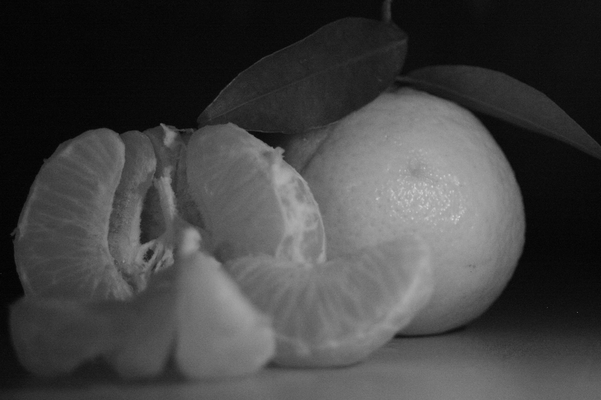 Canon EF 28-80mm f/3.5-5.6 sample photo. Img photography