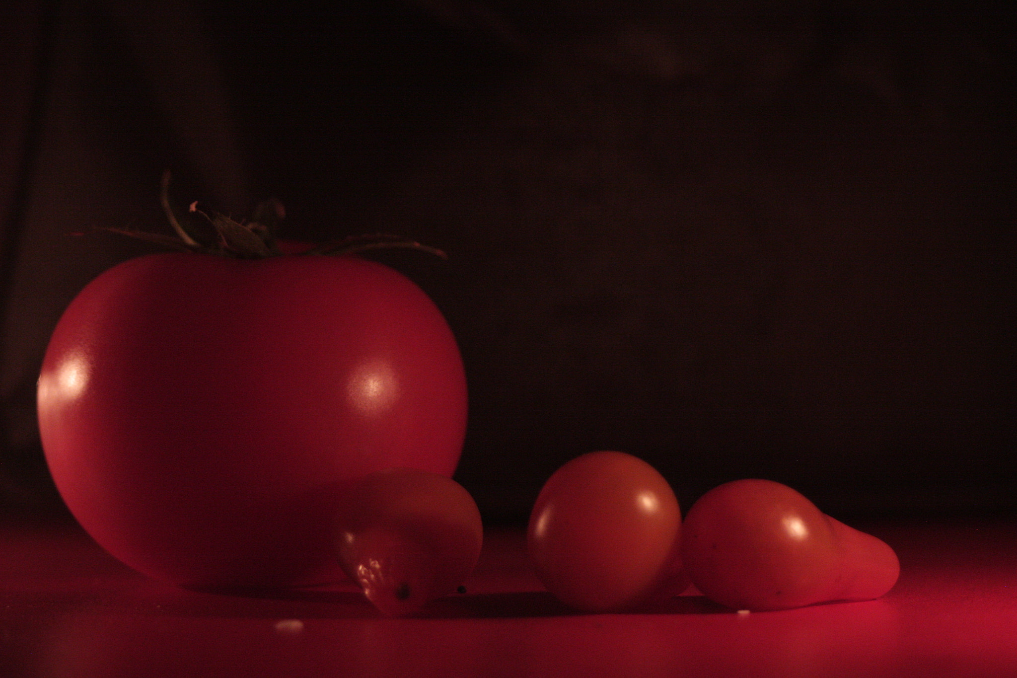 Canon EF 28-80mm f/3.5-5.6 sample photo. Img photography