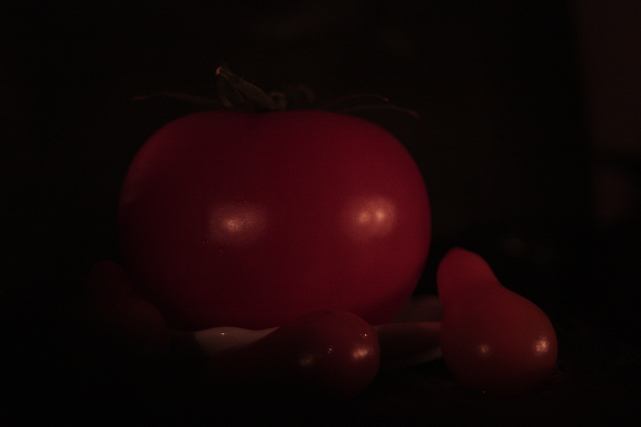 Canon EF 28-80mm f/3.5-5.6 sample photo. Img photography