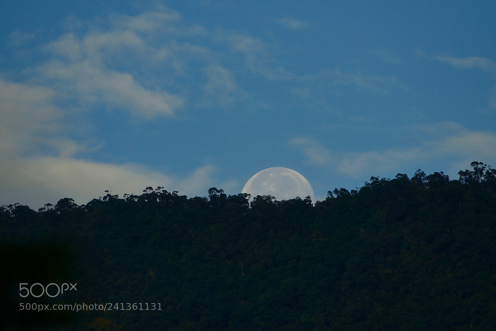 Sony Cyber-shot DSC-RX10 III sample photo. Untitled photography