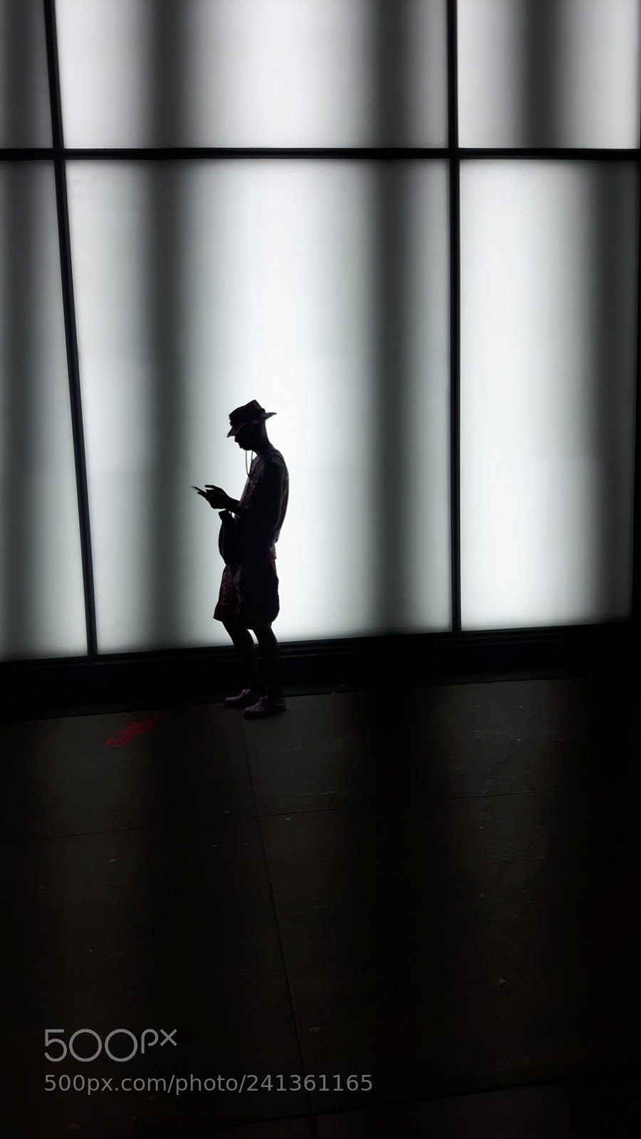 Samsung Galaxy S5 Neo sample photo. Silhouette en passant photography