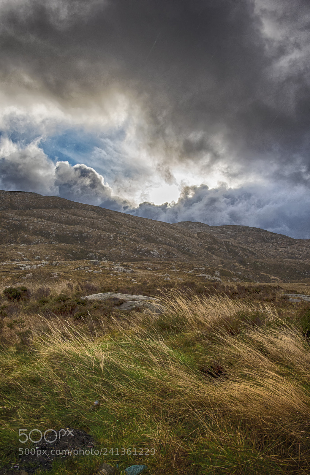 Nikon D5500 sample photo. Wild hills photography