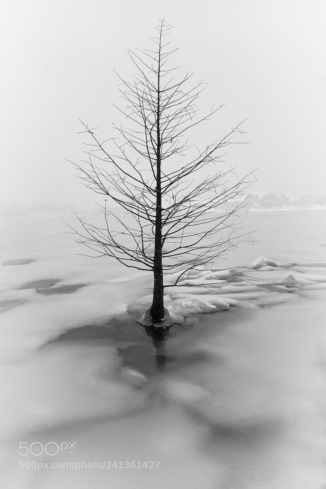 Olympus TG-4 sample photo. Silence photography