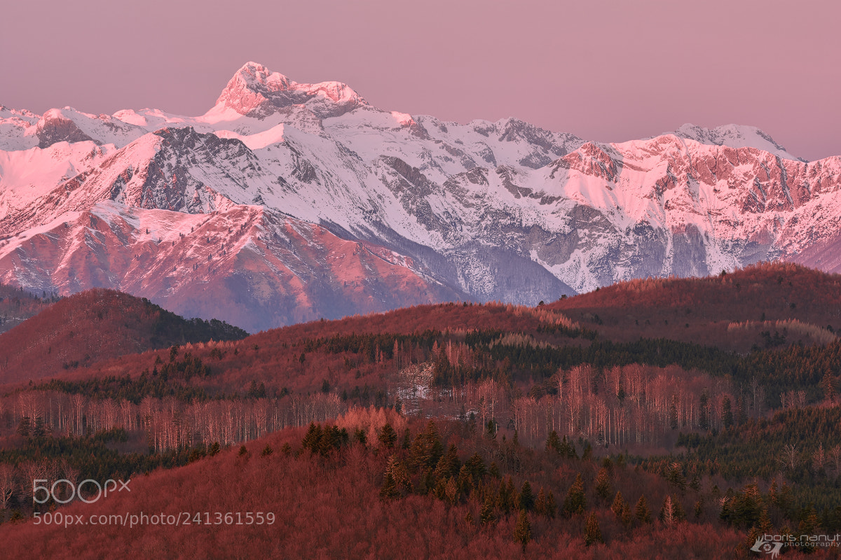 Nikon D7200 sample photo. Pink hour photography