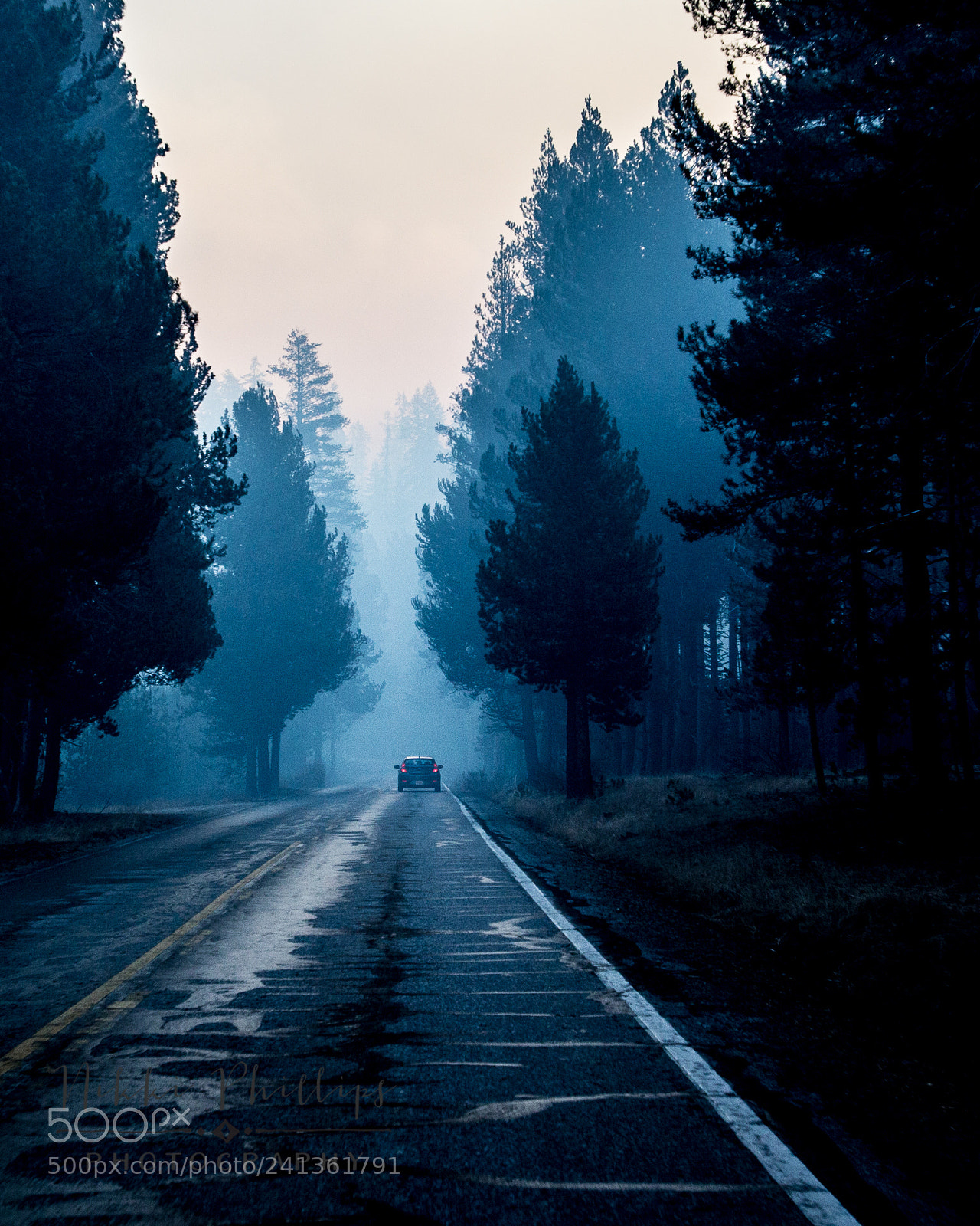 Canon EOS 60D sample photo. Morning photography