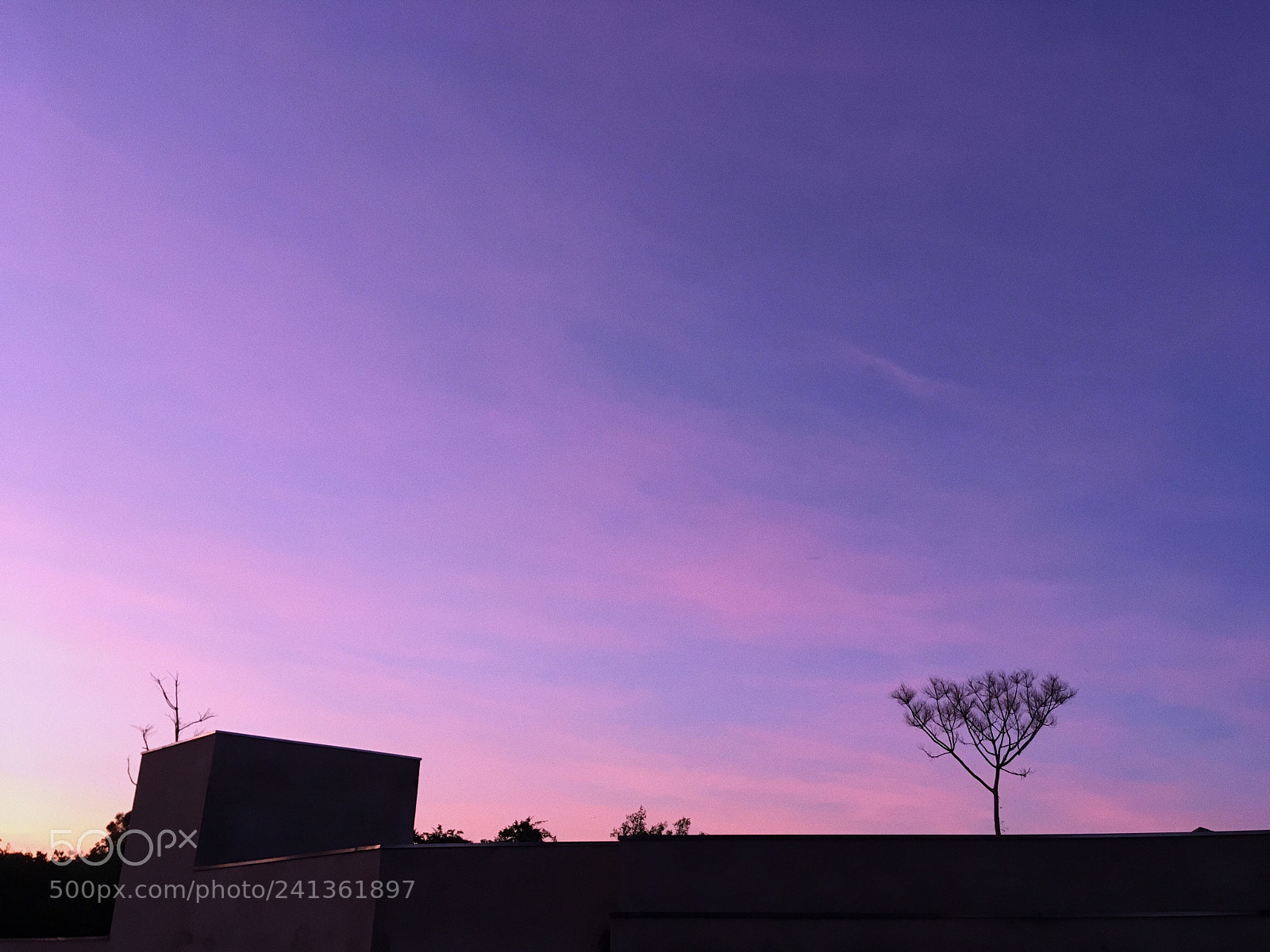 Apple iPhone SE sample photo. Purple sky. photography