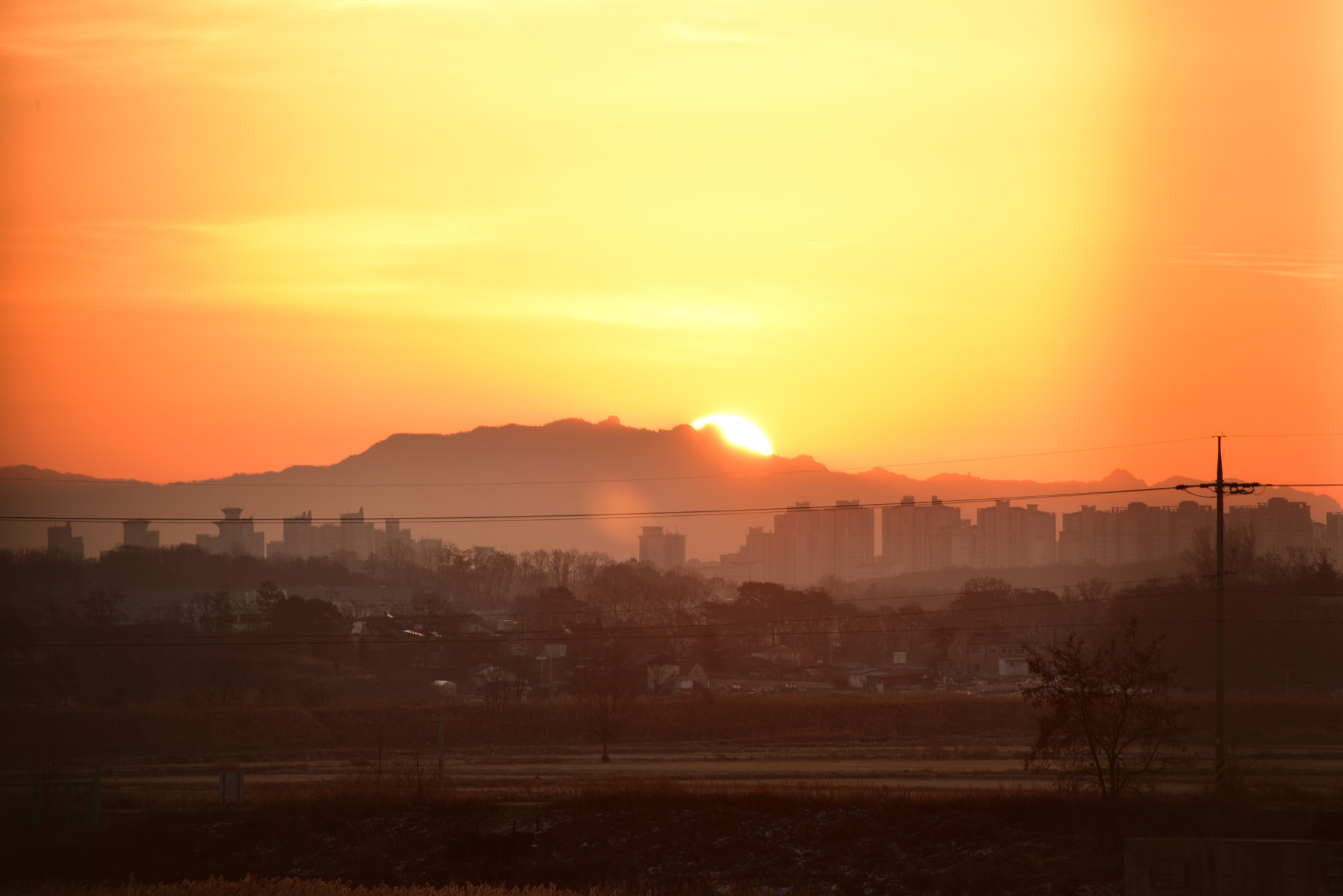 Nikon D810 sample photo