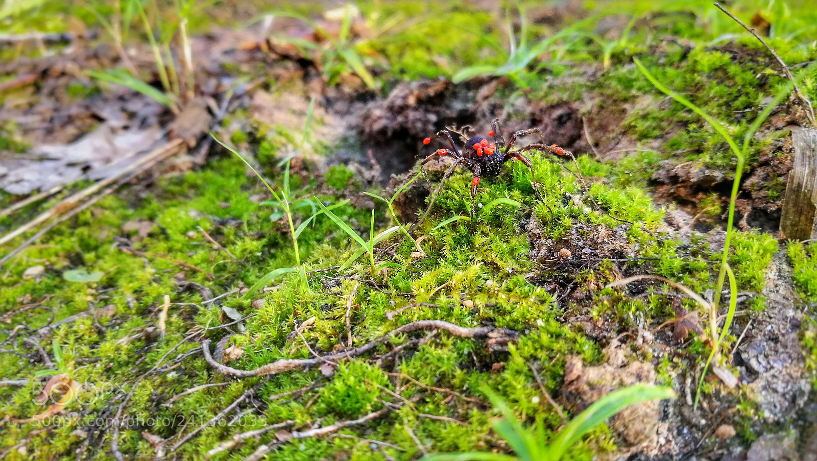 HUAWEI P9 sample photo. Untitled photography