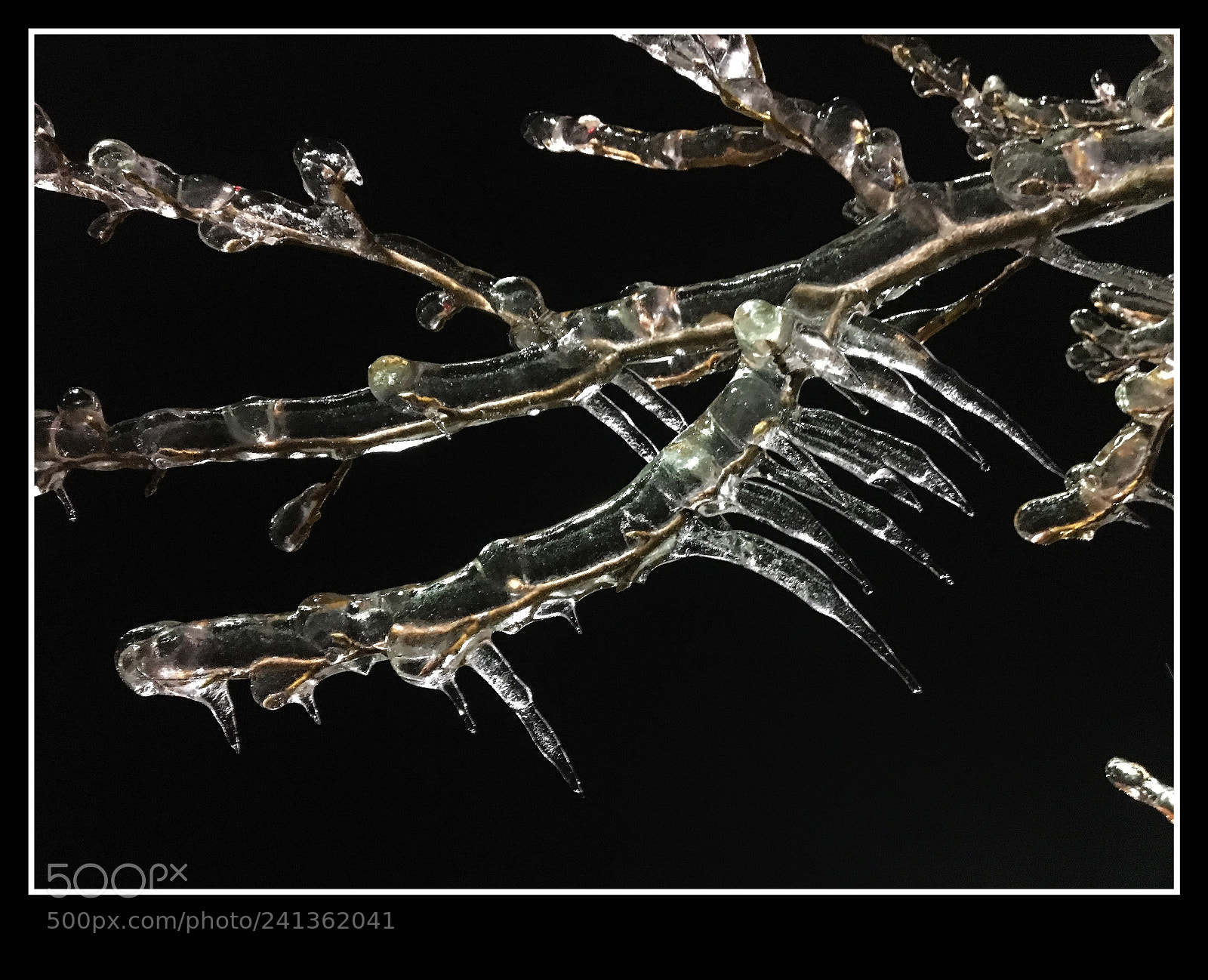 Apple iPhone 6s sample photo. Ice storm 2017 photography