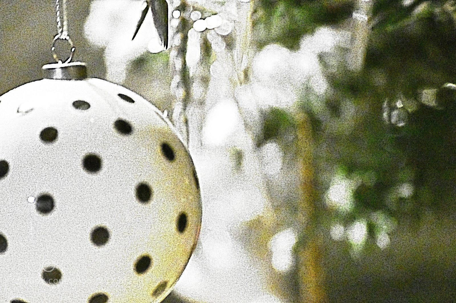 Nikon D500 sample photo. Untitled photography