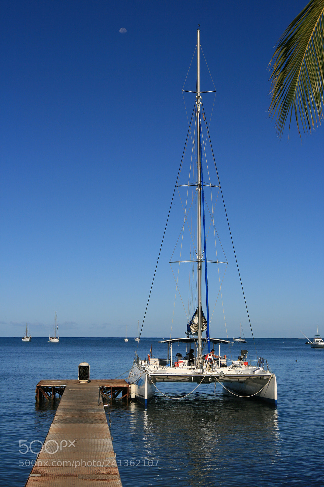 Canon EOS 400D (EOS Digital Rebel XTi / EOS Kiss Digital X) sample photo. Mauritius photography