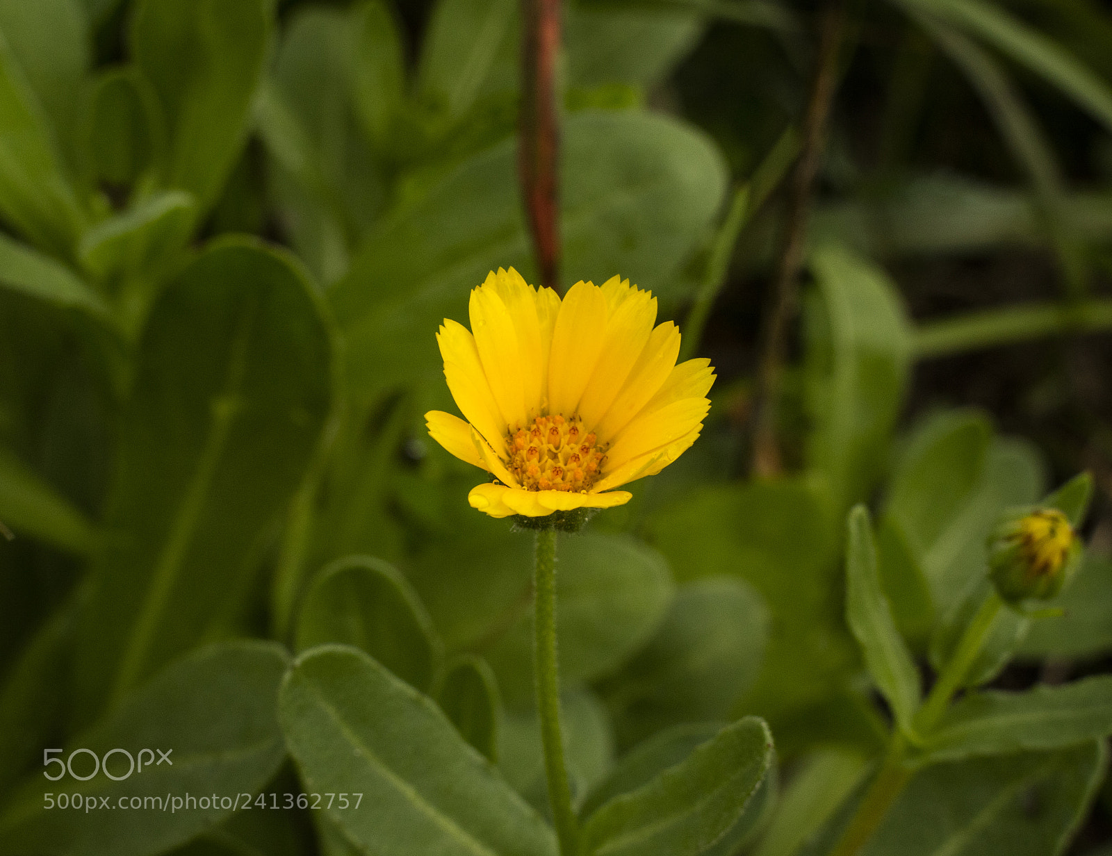 Canon EOS M3 sample photo. Img photography