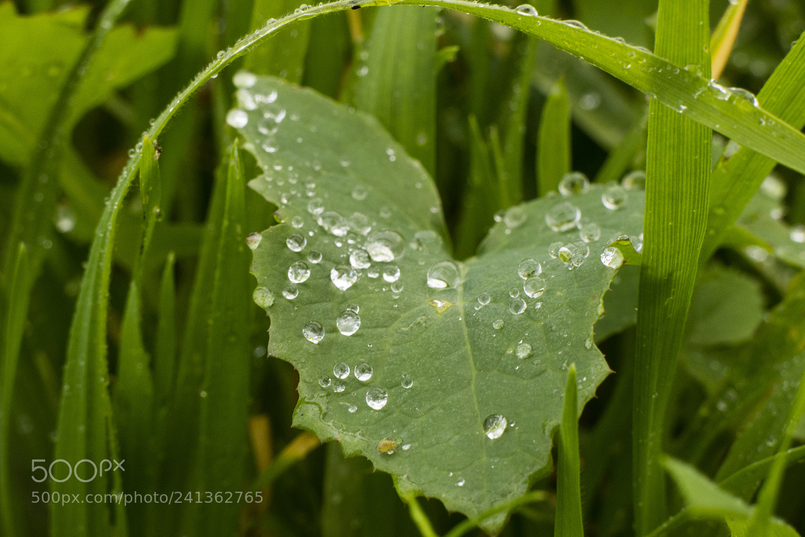 Canon EOS M3 sample photo. Img photography