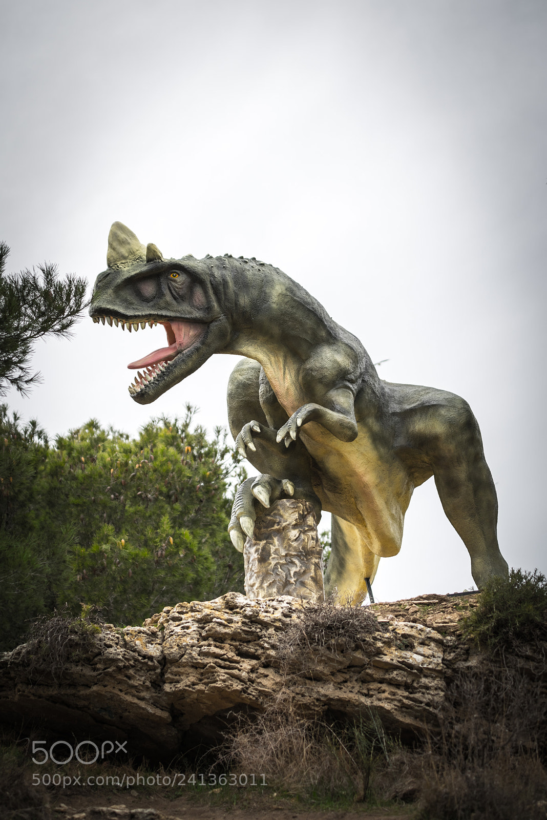 Pentax K-1 sample photo. Jurassic park photography