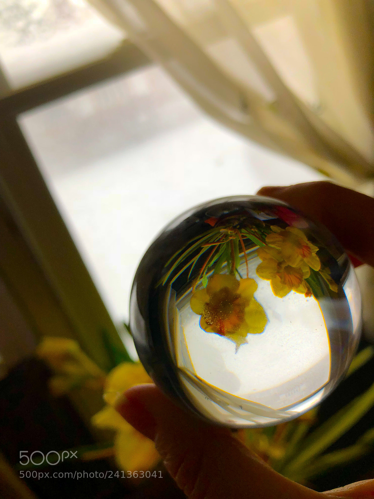 Apple iPhone 8 Plus sample photo. Untitled photography