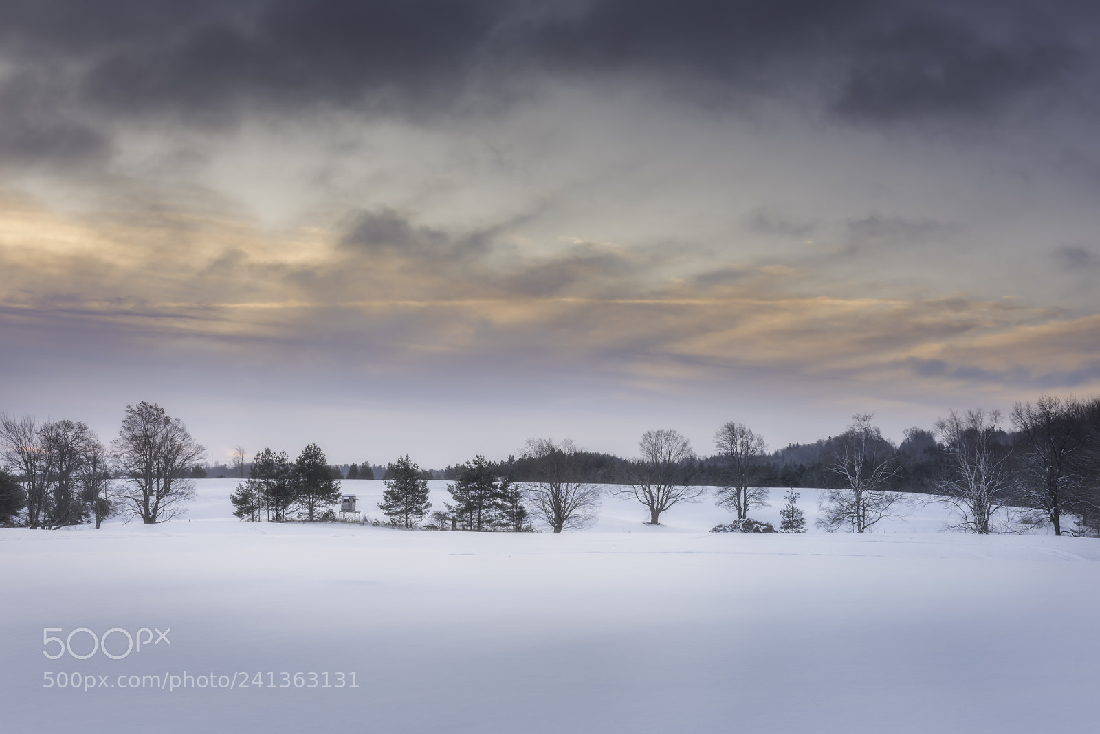 Nikon D810 sample photo. Winter sunrise photography