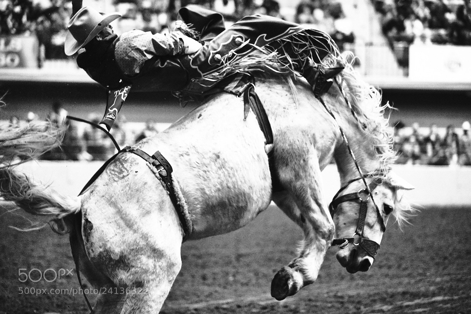 Canon EOS-1D X Mark II sample photo. Rodeo night in waco photography