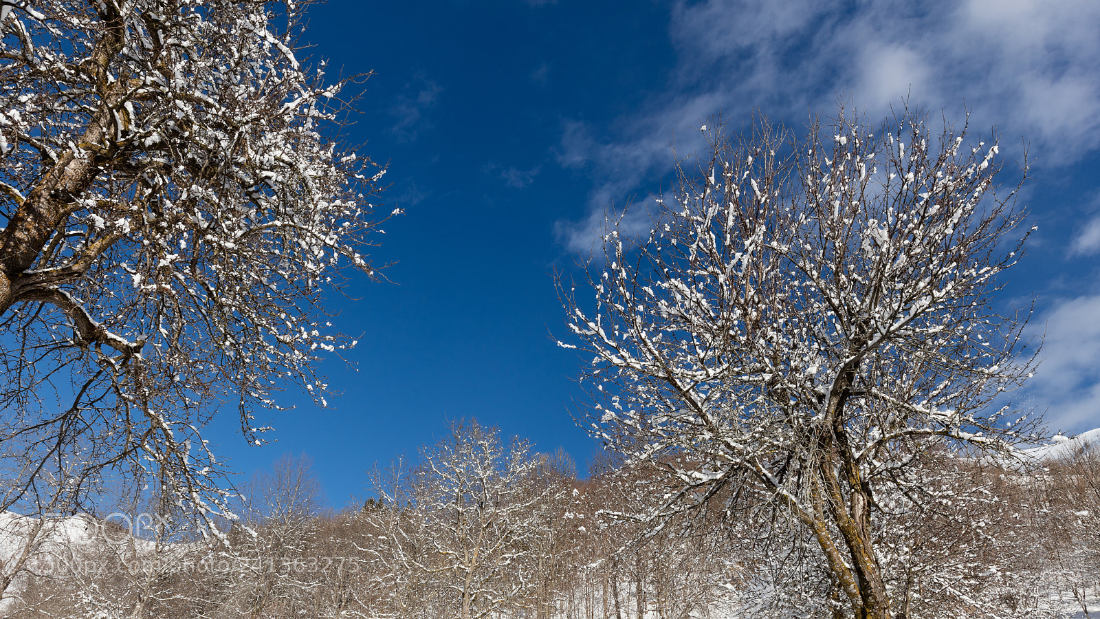 Canon EOS 5DS R sample photo. Entraque a photography