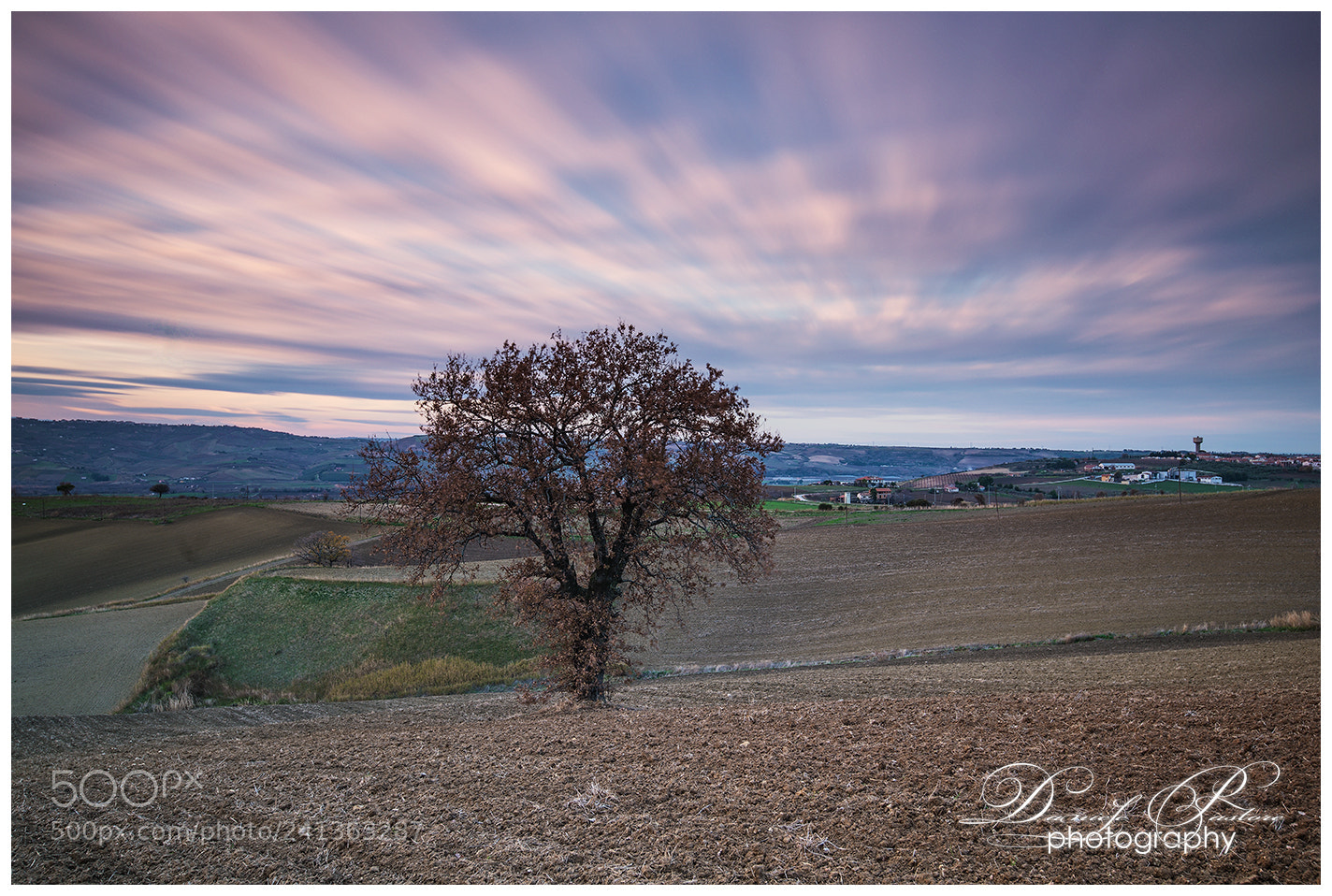 Nikon D800 sample photo. Lonely sunset photography