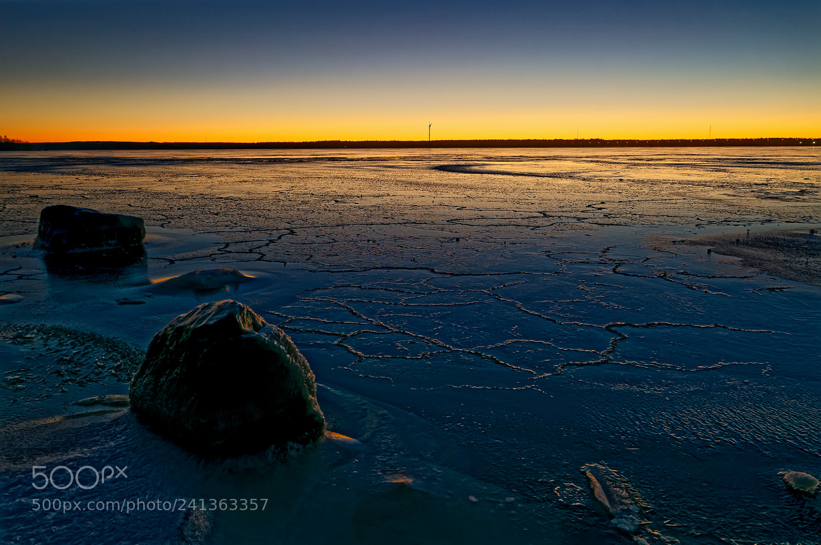 Nikon D300S sample photo. Frozen photography