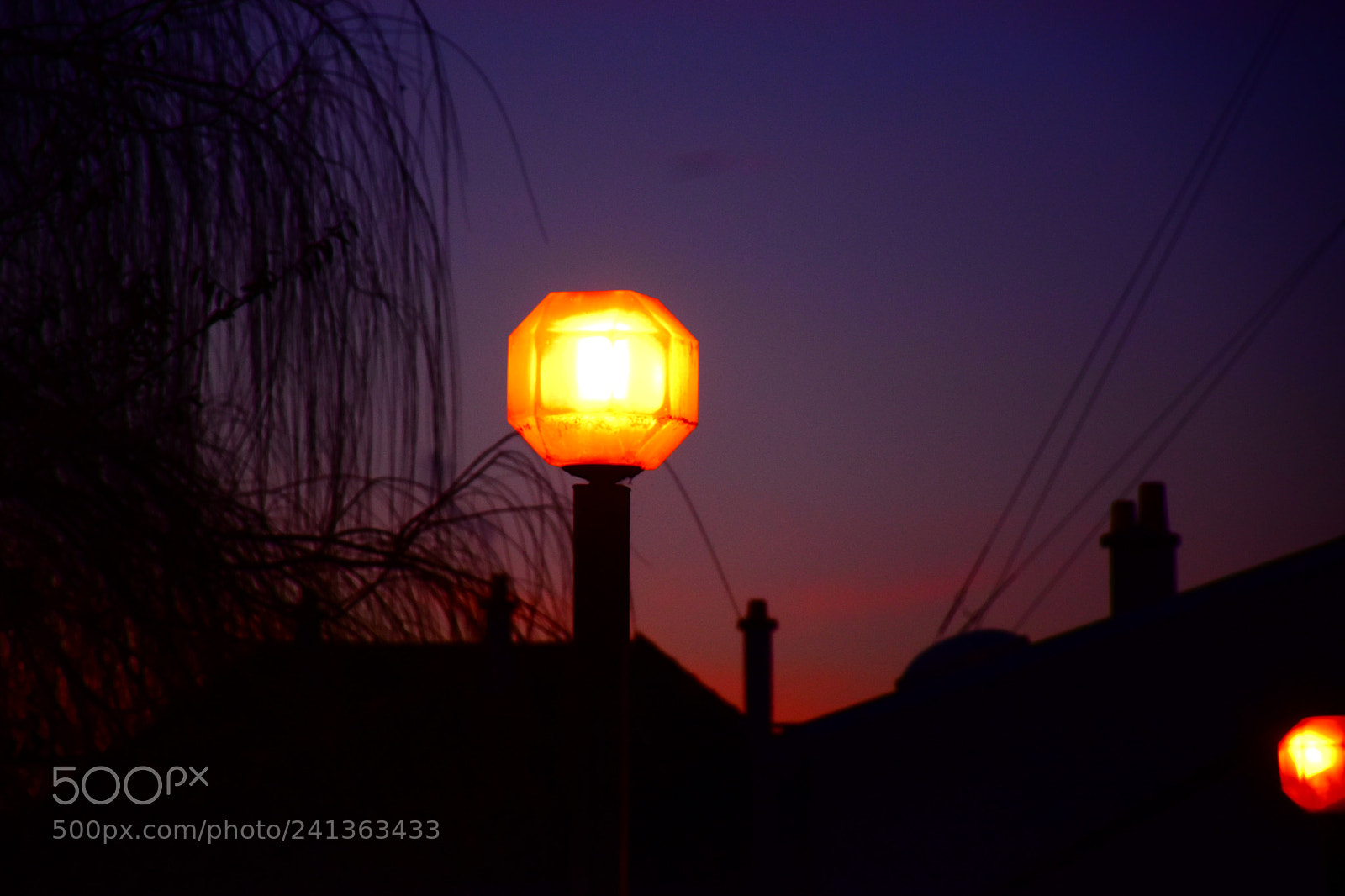 Nikon D5600 sample photo. Lamp photography