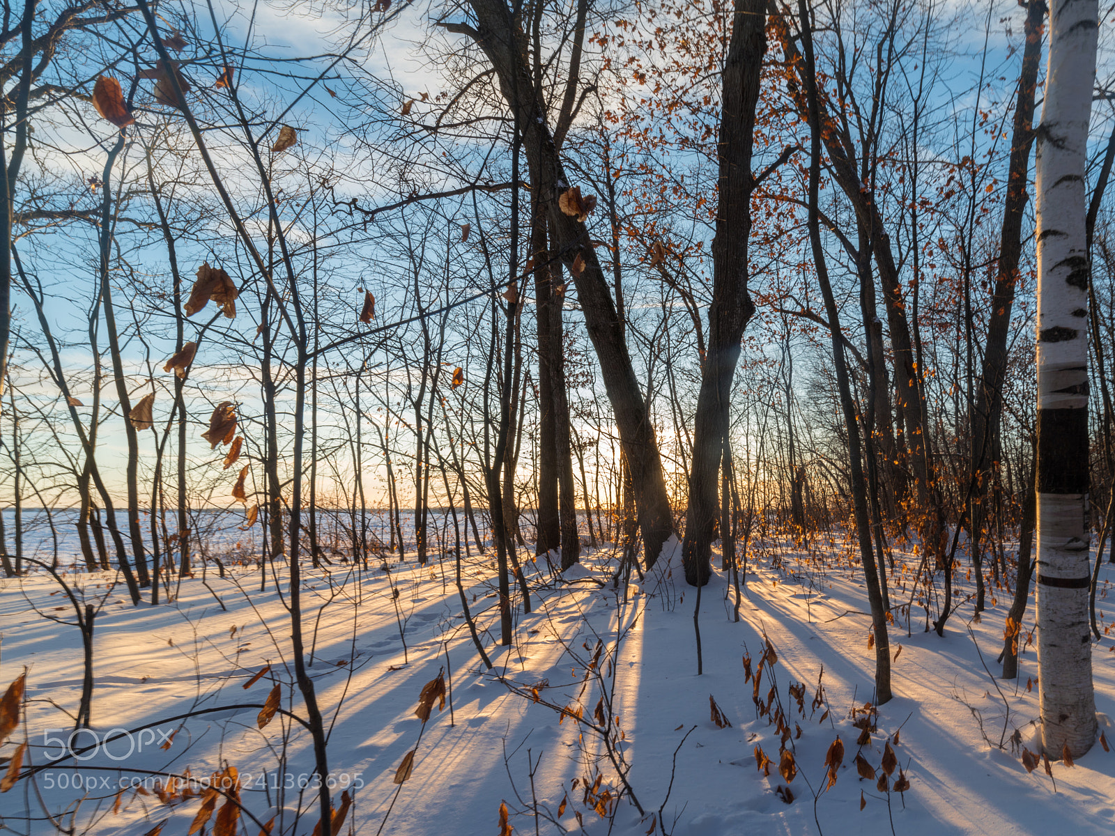Pentax K-1 sample photo. Shadow of the sun... photography