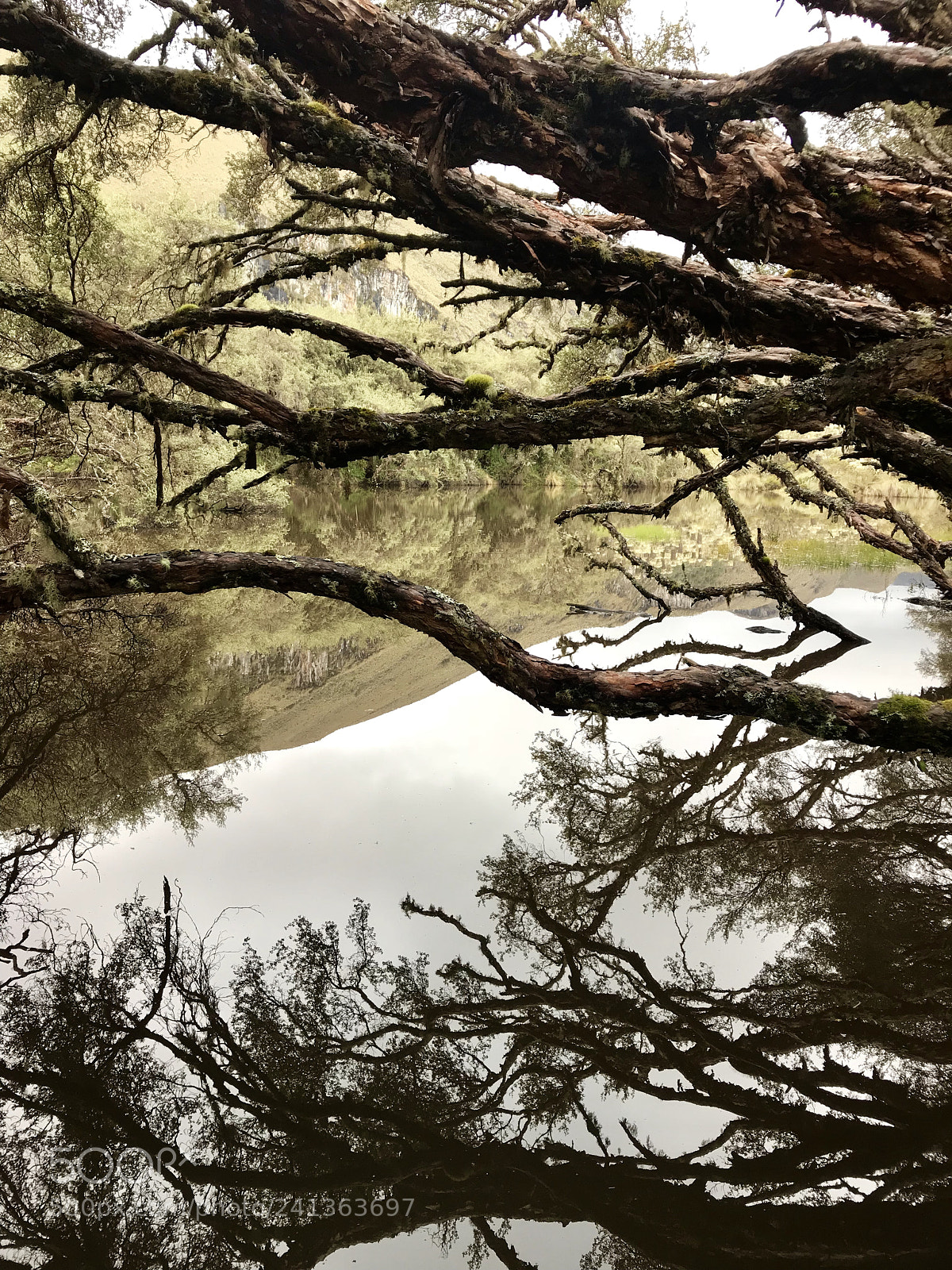 Apple iPhone 7 sample photo. Mirror photography