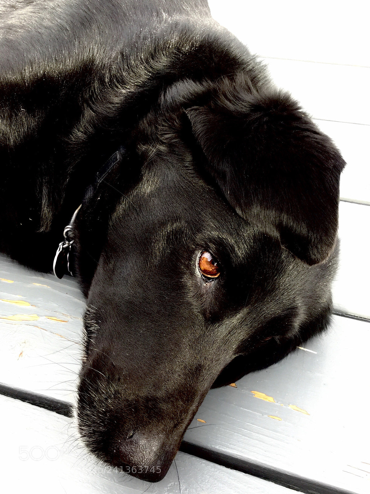 Apple iPod touch sample photo. Precious photography