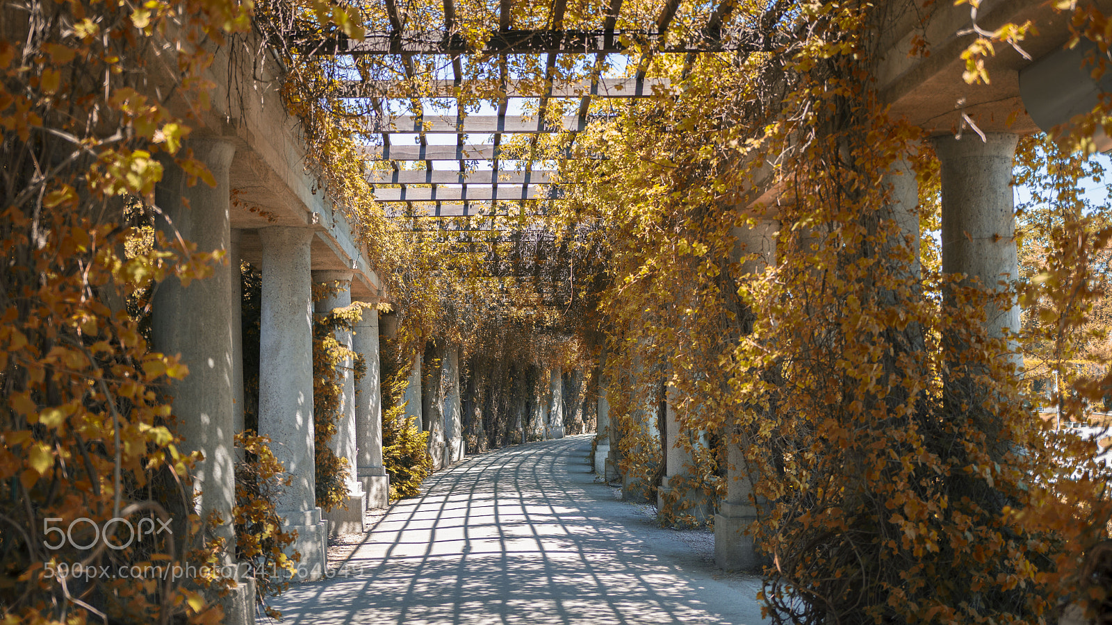 Nikon D7100 sample photo. Road to heaven? photography