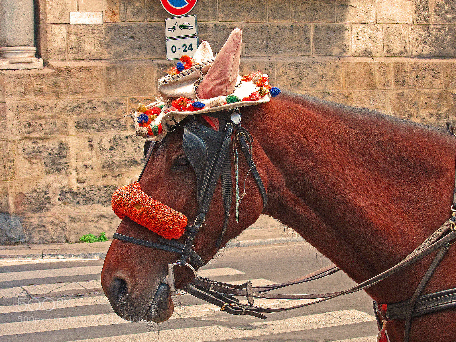 Canon PowerShot S95 sample photo. Hat with ears photography