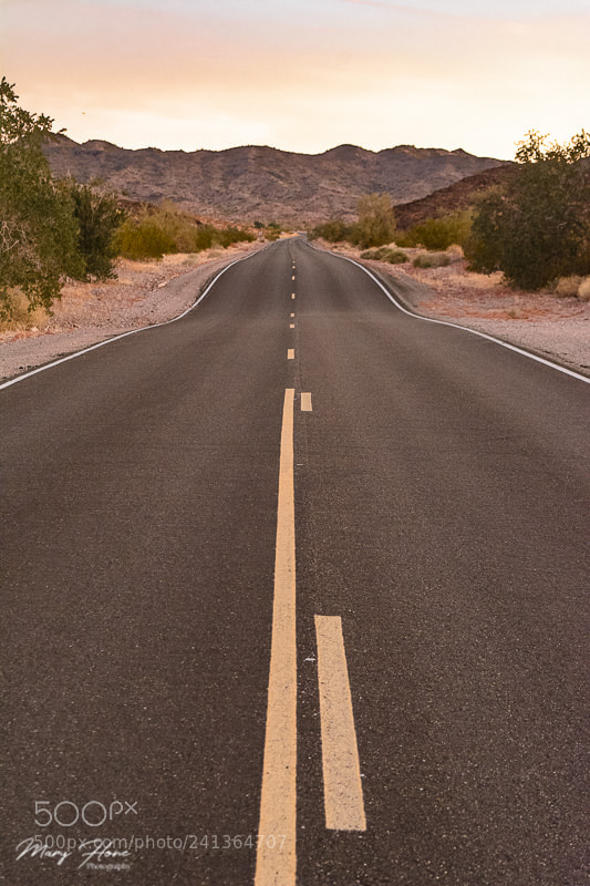 Nikon D7100 sample photo. The road ahead photography