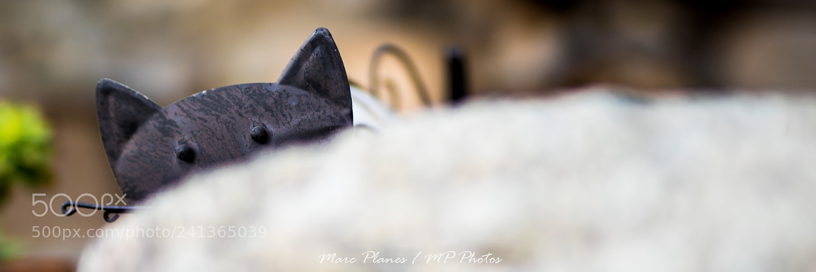 Canon EOS 750D (EOS Rebel T6i / EOS Kiss X8i) sample photo. Mistigri photography
