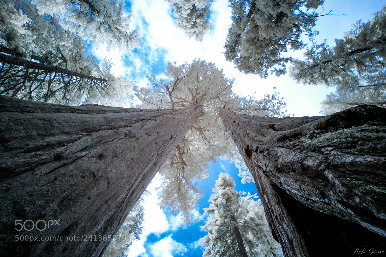 Canon EOS 5D sample photo. Yosemite photography