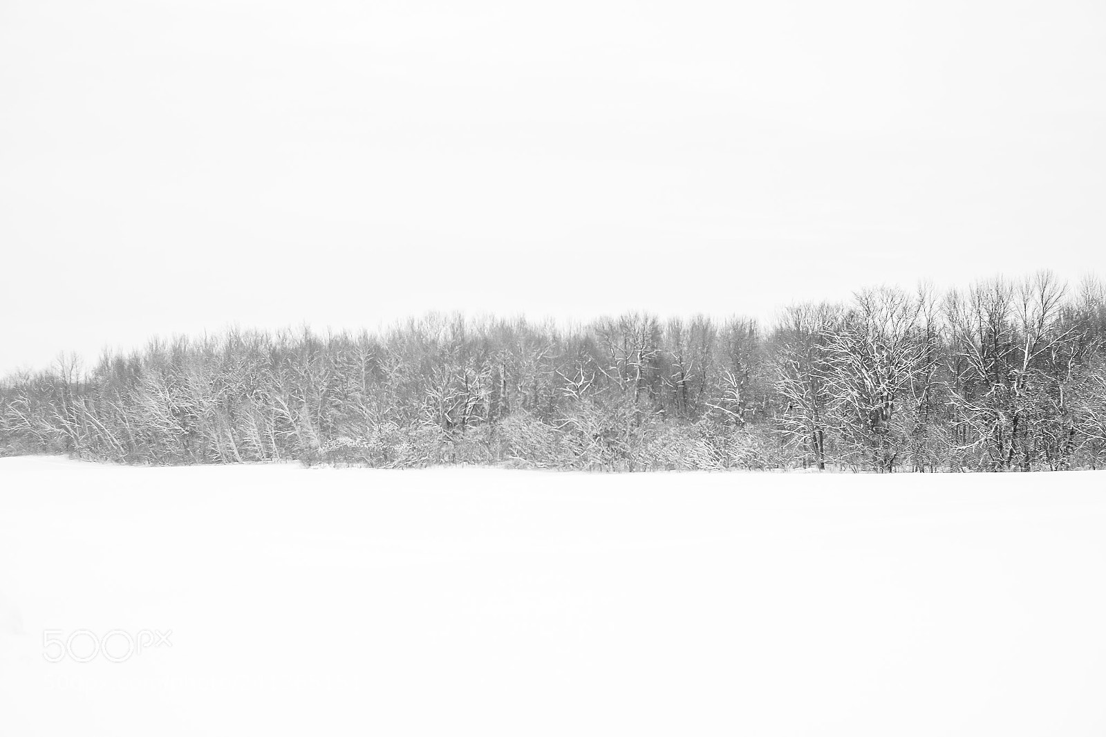 Fujifilm X-T10 sample photo. Winter day photography