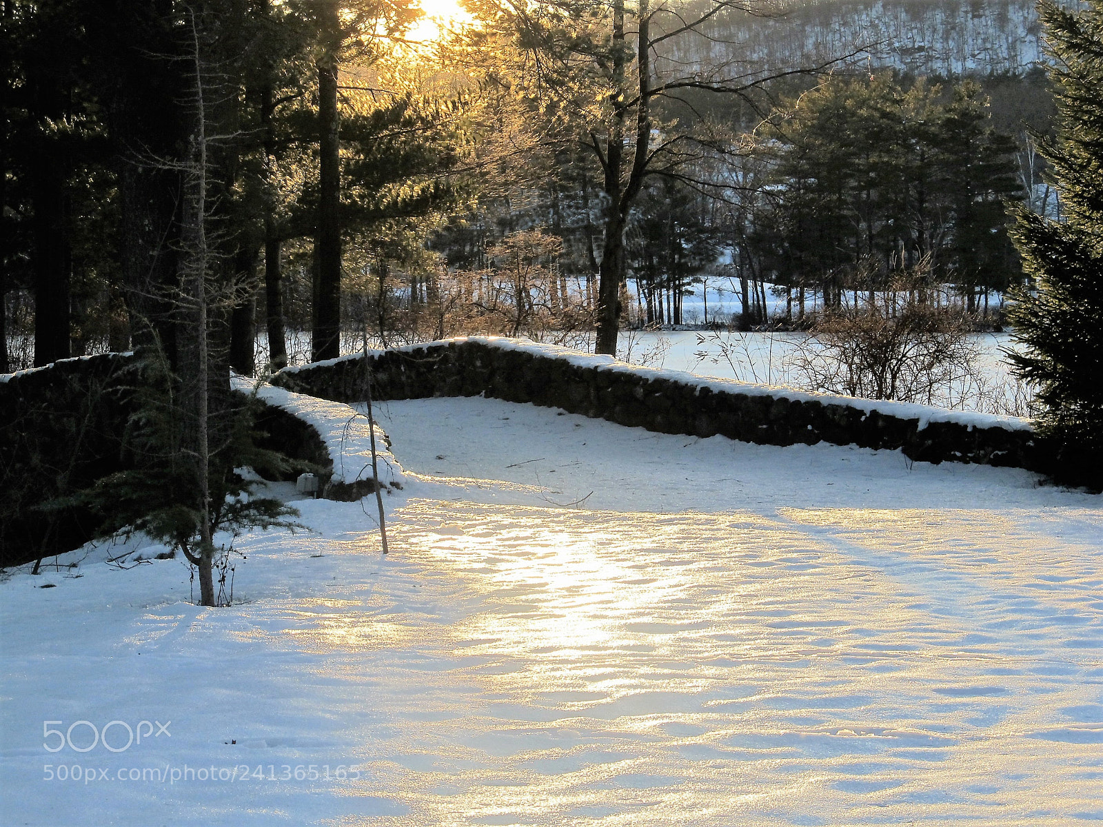 Canon PowerShot SX130 IS sample photo. Winter walkway photography